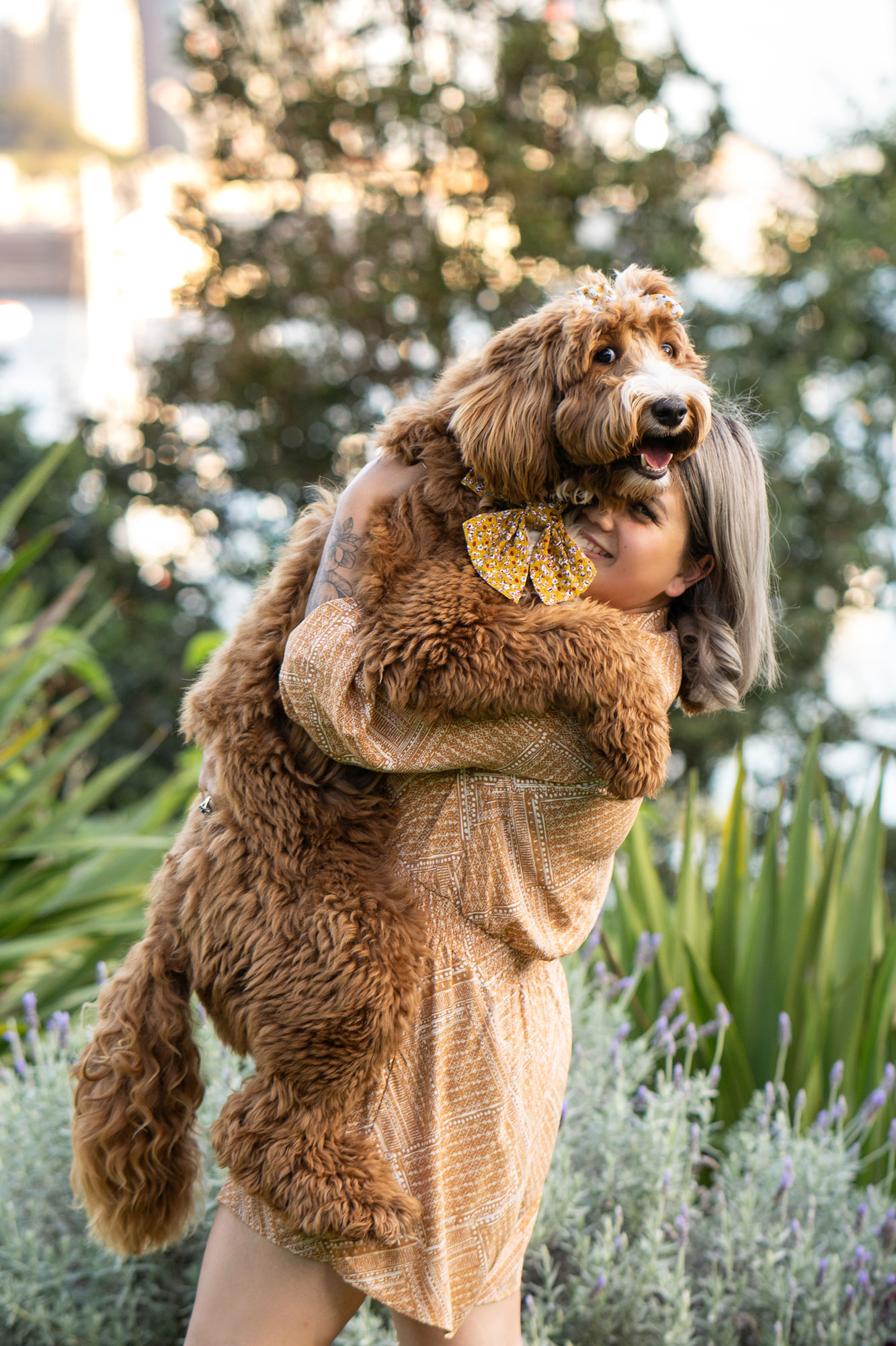 puppy owner North Sydney