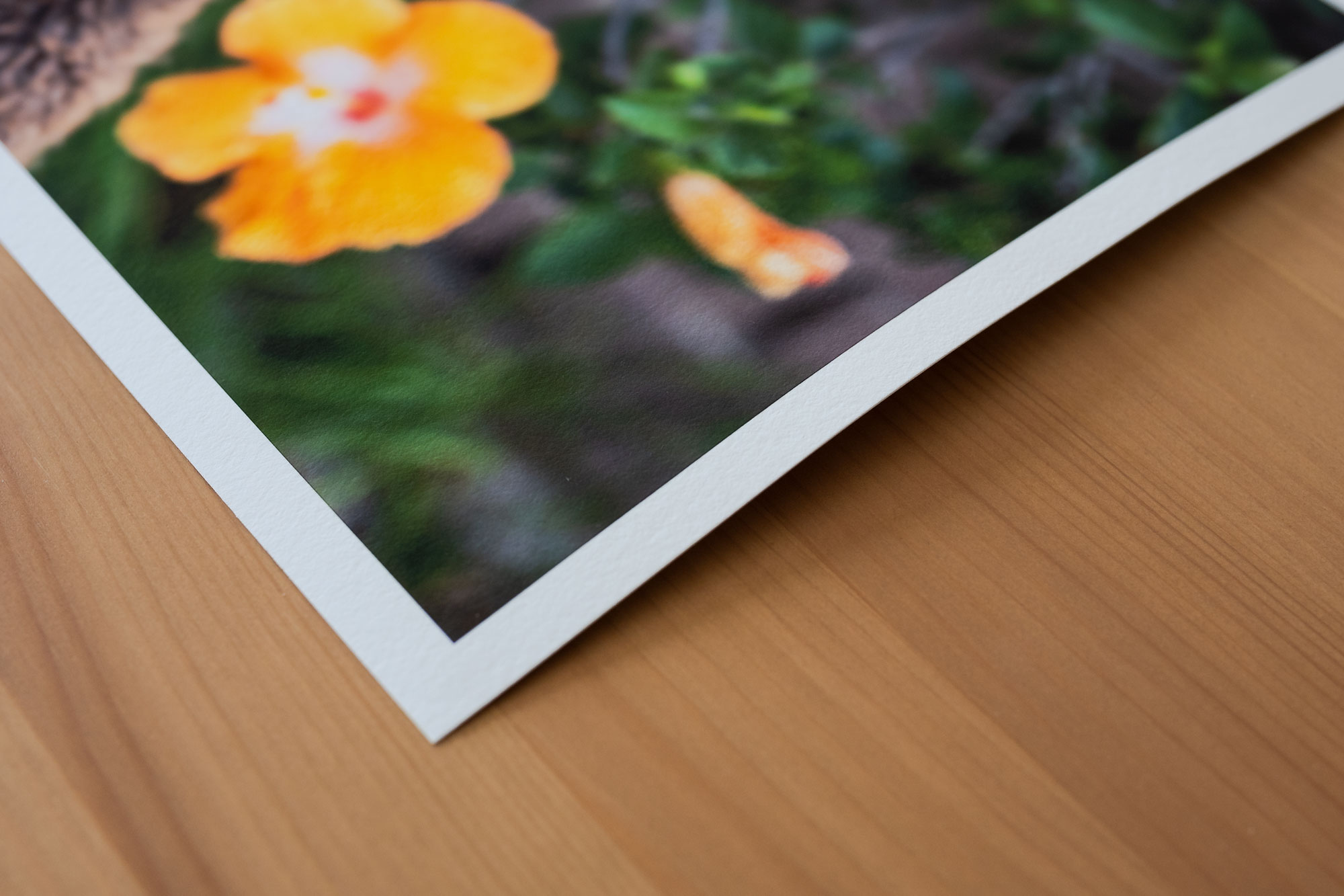 Fine Art Wall mount 3