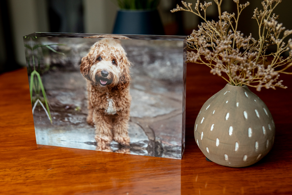 Memory Box timber finish handmade australian photographer