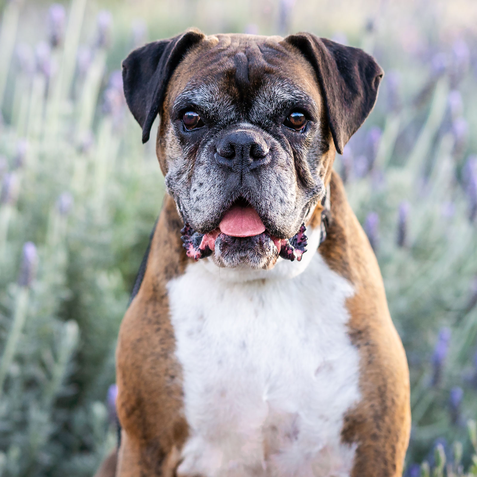 rousehill regional park photoshoot Full Session
