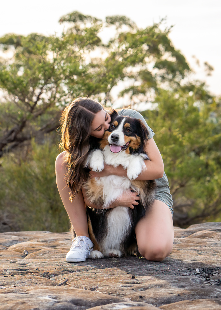 Old dog cancer sunshine